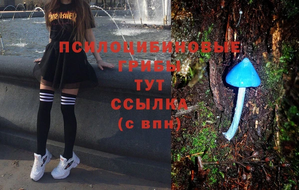 спиды Елабуга