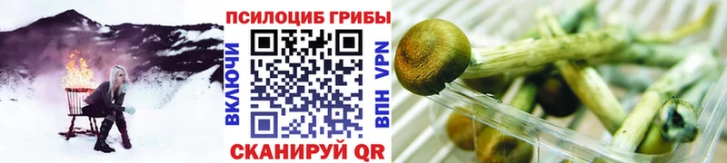 закладка  Западная Двина  ссылка на мегу ссылка  Галлюциногенные грибы мухоморы 